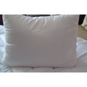Microfibre-antiallergen-kisparna-40x50